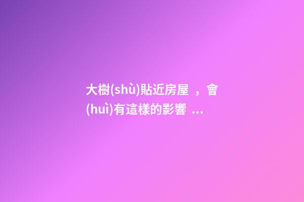 大樹(shù)貼近房屋，會(huì)有這樣的影響，和你想的一樣？
